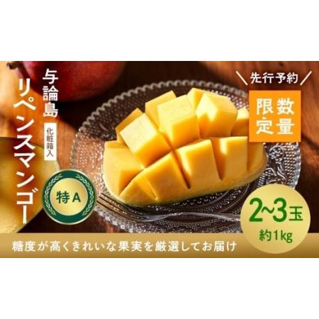 ふるさと納税 鹿児島 与論島リペンスマンゴー特A秀品約1キロ2〜3玉化粧箱入り 鹿児島県与論町