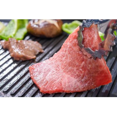 ふるさと納税 直方市 訳あり!博多和牛焼肉切り落とし(肩ロース・バラ)　1kg(500g×2p)(直方市)