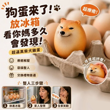 小廢物研究所  狗蛋 柴犬雞蛋 柴柴 交換禮物 交換廢物 生日禮物 上課無聊小玩具
