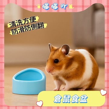 倉鼠食盆 倉鼠碗 倉鼠飼料碗 倉鼠用具 圓形頂飯盆 防滑防翻 防啃咬 易清洗 小寵飼料碗