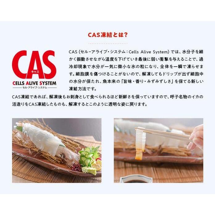 呼子イカ姿造り食べ比べ 呼子・CASセンター