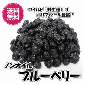 ノンオイル　ブルーベリー　アメリカ産 250ｇ 野生種 ドライフルーツ 送料無料（ブルーベリー250g）お試し商品 ワイルドブルーベリー チ