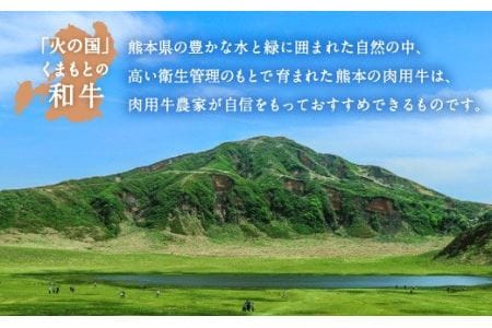 熊本県産 黒毛和牛 ロース 焼肉用 400g 国産 牛肉 焼き肉