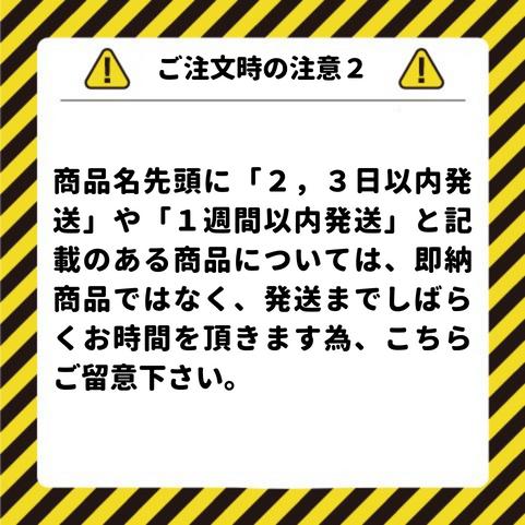 1週間以内発送 サーモス アウトドアシリーズ 真空断熱ジョッキ 600ml ステンレス ROD-008 S