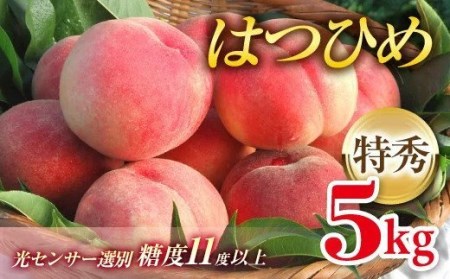 先行予約 福島県伊達市産 桃 はつひめ 特秀 約5kg F20C-127