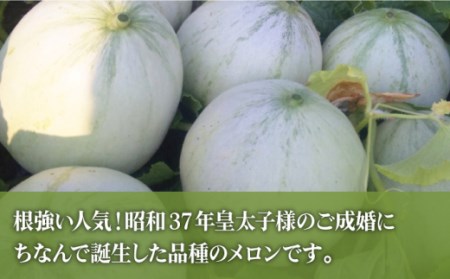 フルーツ定期便 旬のフルーツをセット   プリンスメロン タカミメロン 温州みかん（3品種各1回）メロン みかん フルーツ 詰め合わせ 九州 果物 フルーツ 甘い 高糖度 濃厚 ミカン くだもの 南島原市   南島原果物屋 [SCV003]