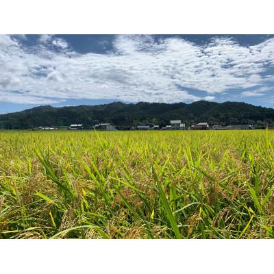 ふるさと納税 山県市 山県市産　にじのきらめき5kg(5kg×1袋)(白米)