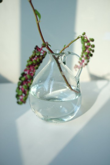 法國La Soufflerie玻璃瓶/玻璃/花瓶/花樽