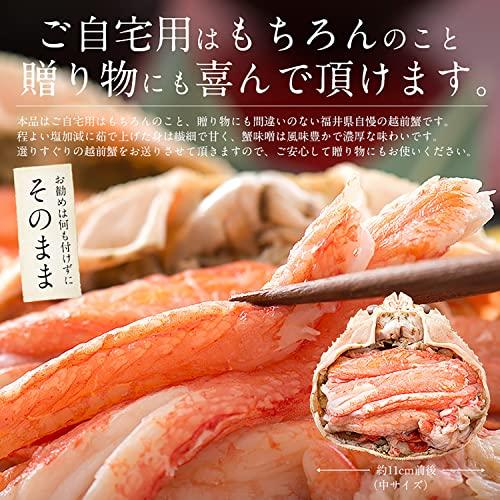 港ダイニングしおそう 甲羅盛りセット極 【 越前産ズワイガニ 中サイズ×1個(甲羅横幅 約11cm) ＆ セイコガニ 小サイズ 70g前後×2個(甲羅