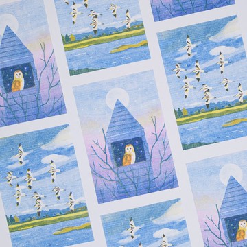孔版印刷 Risograph | 反嘴鴴 Pied Avocet / 倉鴞 Barn Owl