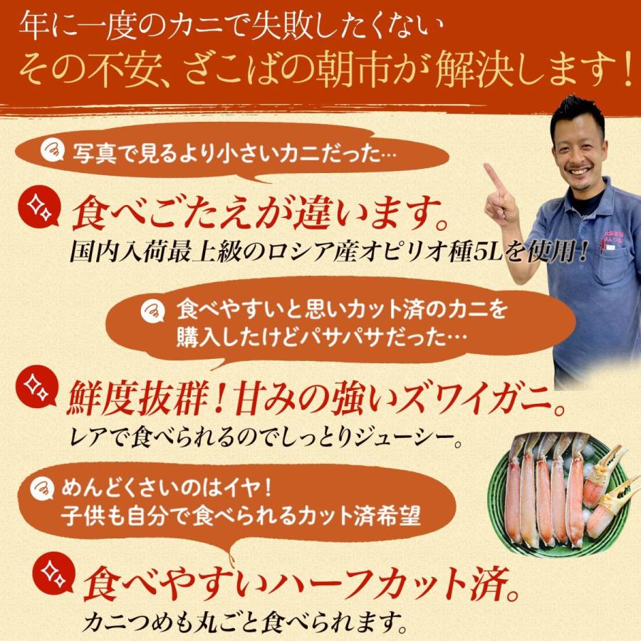 極上 特大 生ズワイガニ 800ｇ（2〜3人前）5Lサイズ 生食可 カット済み ずわいがに かに 鍋 ズワイ蟹 冷凍 ギフト お歳暮 送料無料