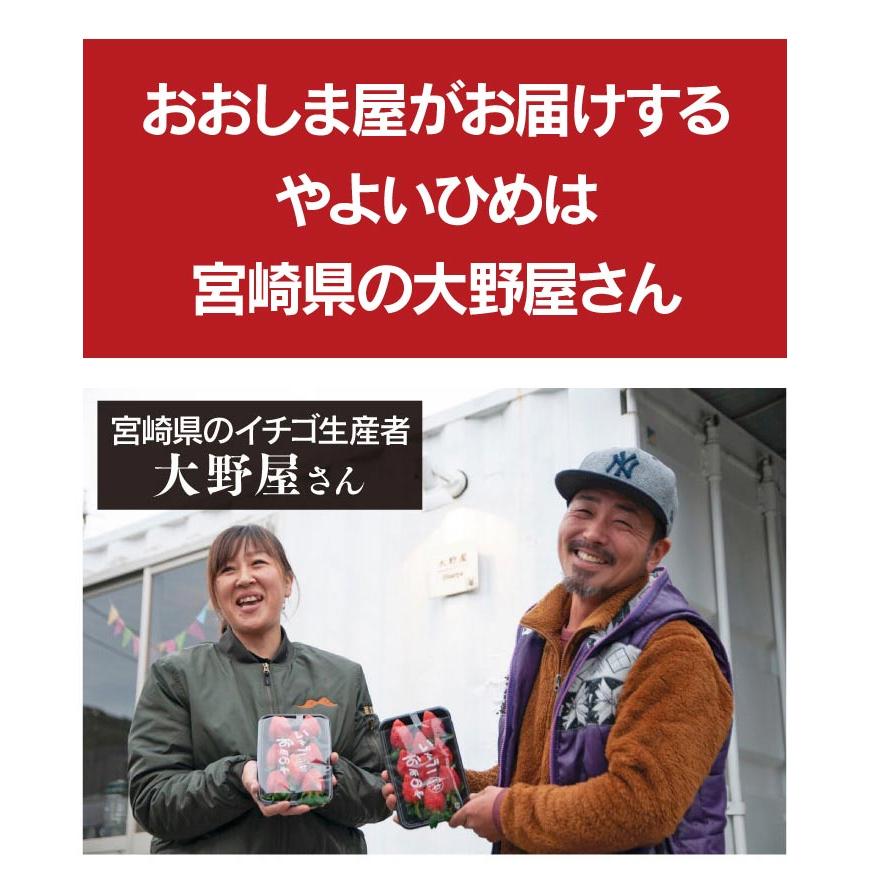 いちご 送料無料 やよいひめ 1パック イチゴ やよい姫 苺 宮崎産 ＜12月中旬より出荷予定＞ 農家直送 フルーツ 果物 大嶌屋（おおしまや）