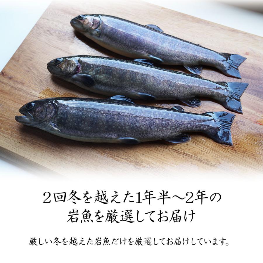 イワナ 岩魚 冷凍 川魚 養殖 骨酒 塩焼き 誕生日 ギフト 加熱用 10尾 串なしタイプ