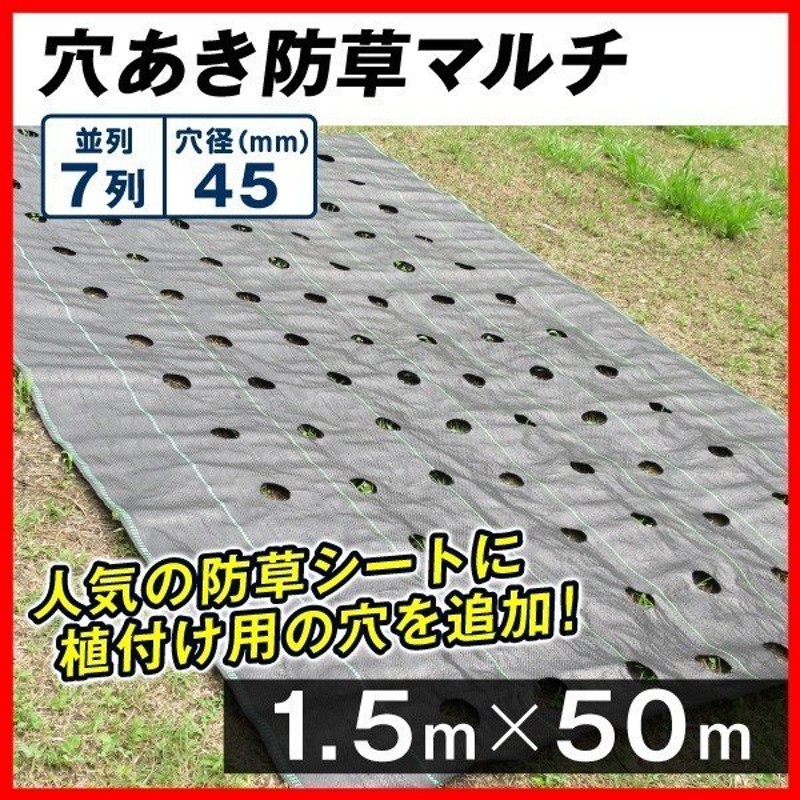 日本初の 農用シート 不織布 農業用 べた掛け栽培 愛栽シートA 1.5×100m 1巻1組 寒冷紗 育苗 育苗シート 国華園  discoversvg.com