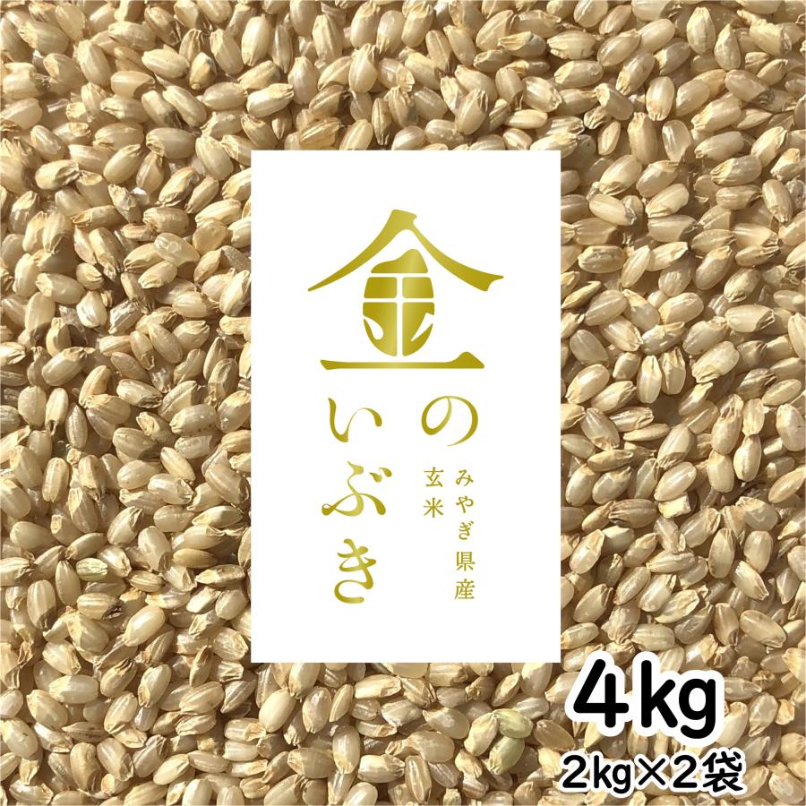 金のいぶき 玄米 4kg 令和4年産 玄米ダイエット 玄米食専用米 宮城県 2kg×2袋