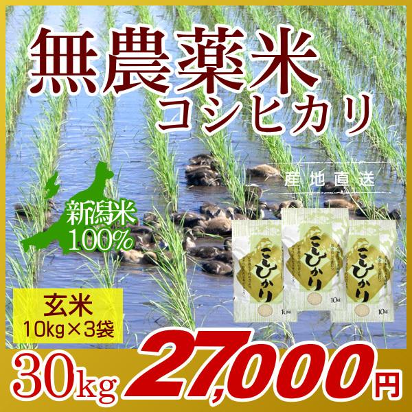 農薬無使用米 新潟 コシヒカリ 玄米 30kg(10kg×3袋)／新米 米 お米 新潟米 アイガモ米 自然栽培 無農薬 有機肥料 岩船産コシヒカリ 高級米