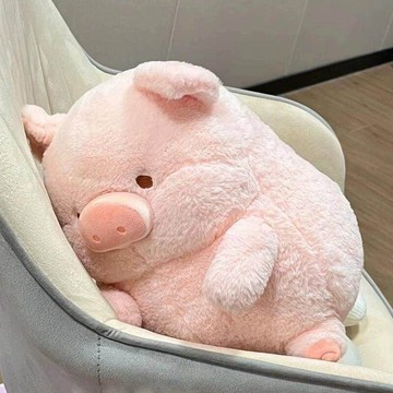 【Oasis Studio】lulu豬抱枕 客廳靠枕 睡覺抱枕  絨毛玩具 動物抱枕玩具 兒童安撫玩具 客廳擺件 禮物