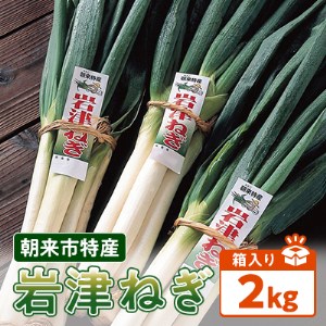 朝来市特産「岩津ねぎ」2kg(箱入り)