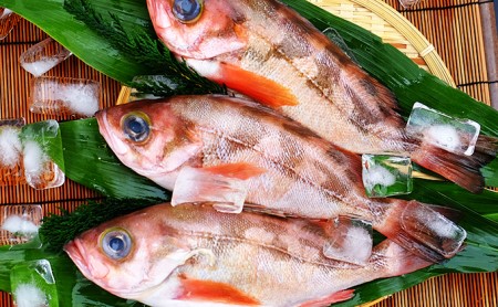 開けたらすぐ食べられる日本海の鮮魚詰合せ（2～3人前）(魚介 下処理済み 詰め合わせ セット)