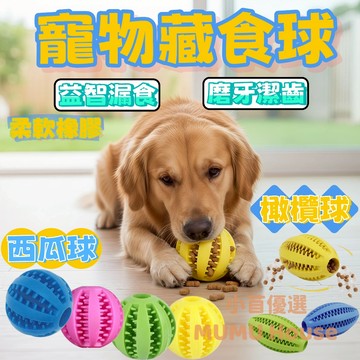 🚀隔日到貨🚀寵物藏食球 藏食玩具球 潔牙 漏食玩具球 TPR橡膠玩具 耐咬玩具 磨牙玩具球 漏食球 狗玩具 慢食球