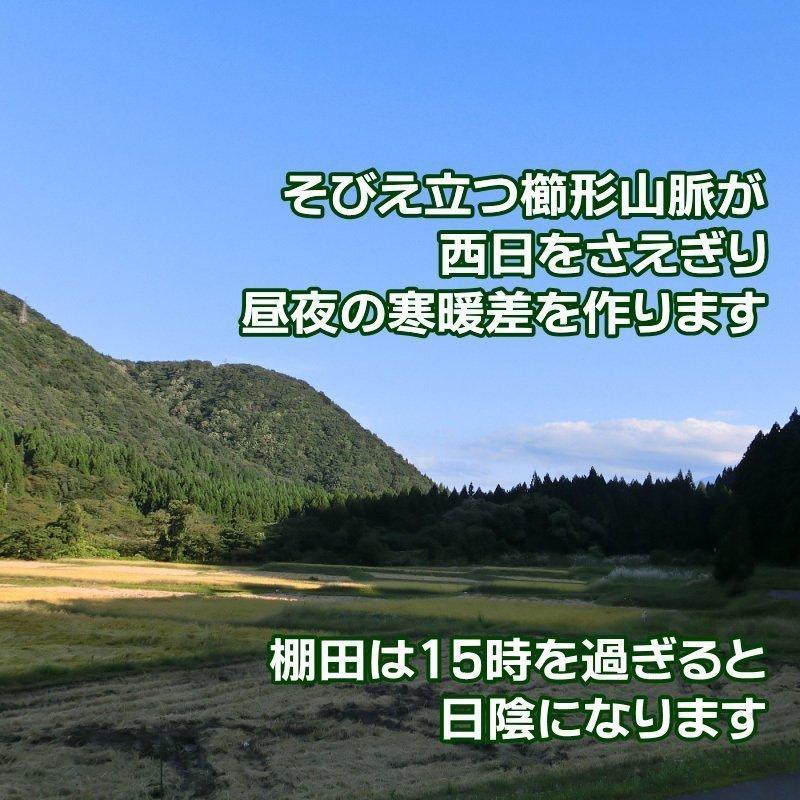 米 10kg 棚田米 新潟産コシヒカリ 玄米   高級銘柄米 お米 新潟 新潟県産 令和5年産 新米   奥胎内 棚田 山麓米 雪解けの水 送料無料