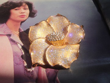 輝煌年代 OLD ERA _早期二手精美胸針別針