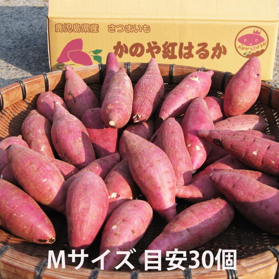 鹿児島のさつまいも「べにはるか」５kg Ｍサイズ   熟成 紅はるか