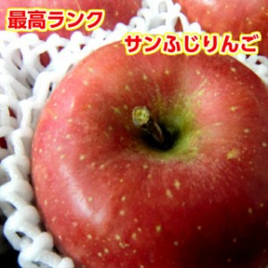 りんご 特選 秀品 8～10玉 送料無料 サンふじりんご 最高ランク 蜜入り 青森県産 約2.8Kg 大玉 甘い おいしい 秀品