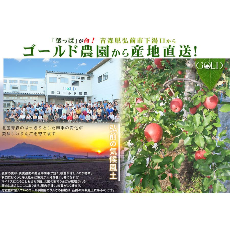 りんご 訳あり 送料無料  加工用 規格外品(バラ詰め2段 36-65玉)  [※産地直送のため同梱不可]「GOLD」