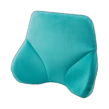 EXGEL｜貓頭鷹進階款背墊 土耳其藍