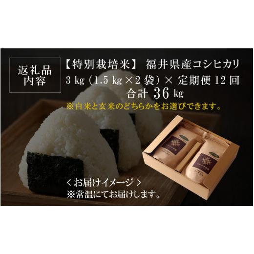 ふるさと納税 福井県 坂井市 福井県産 コシヒカリ 1.5kg × 2袋 計3kg (白米) 〜化学肥料にたよらない10…