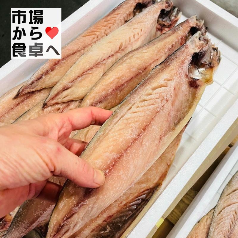 さば文化干し 鯖の干物 10枚(1枚当たり約120g)脂のっています