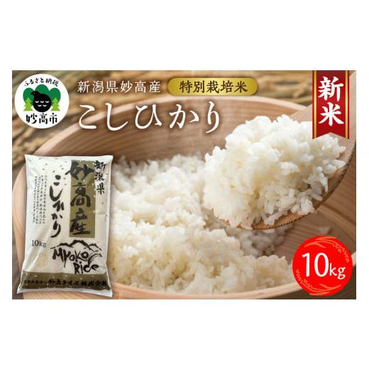 ふるさと納税 新潟県 妙高市 妙高産こしひかり特別栽培米10kg