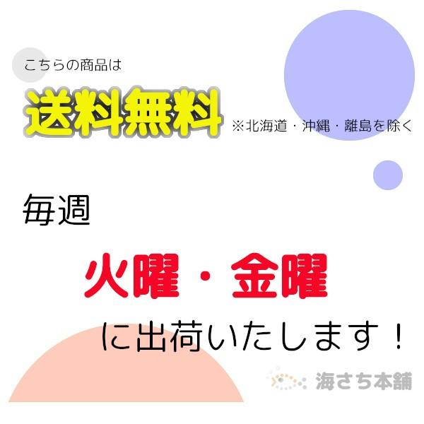 鹿児島産クルマエビ　冷凍　300g x ２袋　Lサイズ　11〜13尾入／袋