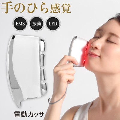 WQC 24K BEAUTRE (ビュートレ) EMS 電動美顔器 防水-