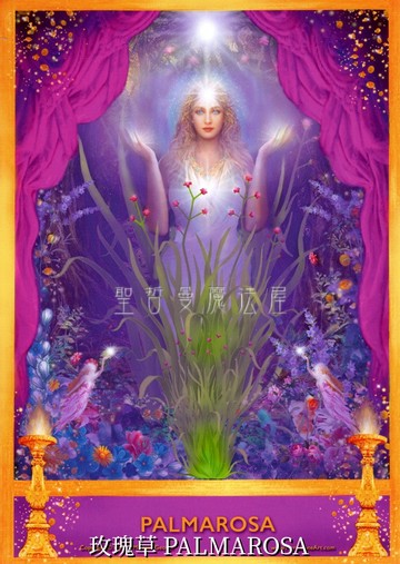 玫瑰草 PALMAROSA【5*7吋美國進口正版作品】精靈天使精油神諭卡 - 精油天使系列畫