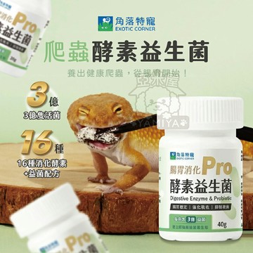 爬蟲酵素益生菌 角落水族 角落特寵 爬蟲類 兩棲類動物 腸胃消化 爬蟲保健 消化 腸胃 酵素 守宮【亞米屋Yamiya】