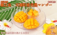 徳之島 天城町産 完全無加温 完熟 マンゴー Ａ品 2kg 贈答