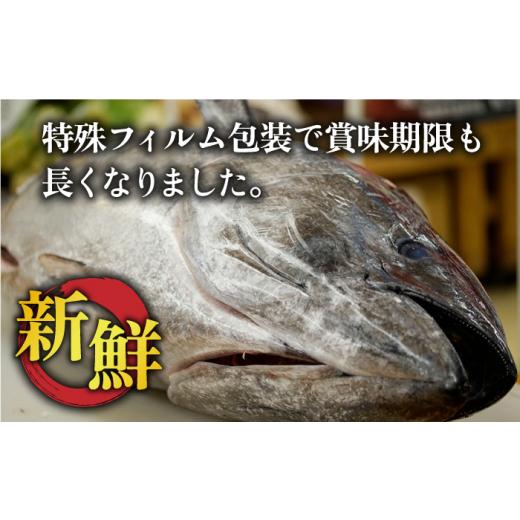 ふるさと納税 長崎県 新上五島町  五島列島産 養殖 生本かみまぐろ 中トロ ブロック 500g【カミティバリュー…