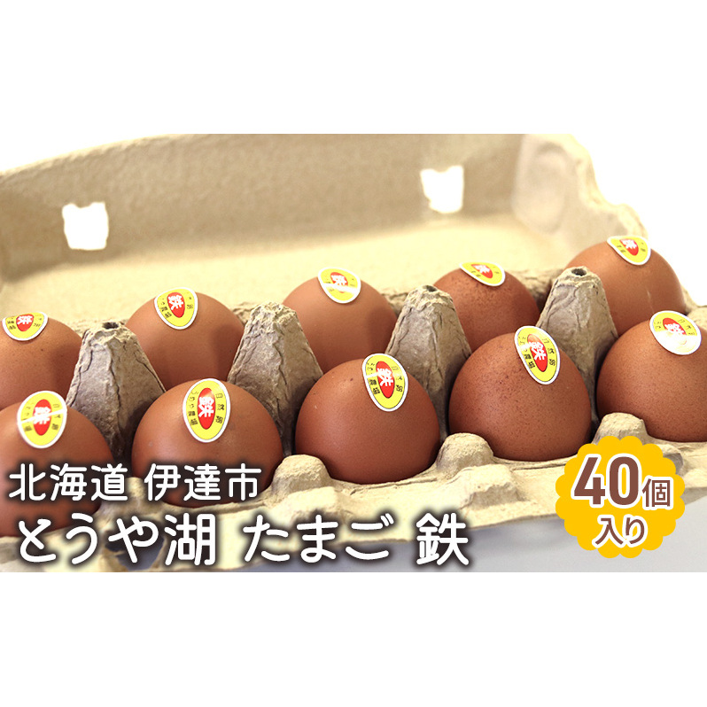 北海道 伊達市 とうや 卵 鉄  40個 入り たまご