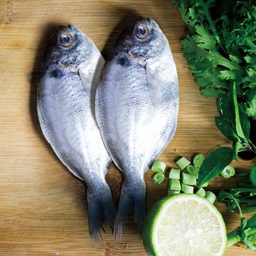 好神-鮮凍優質肉魚36尾組