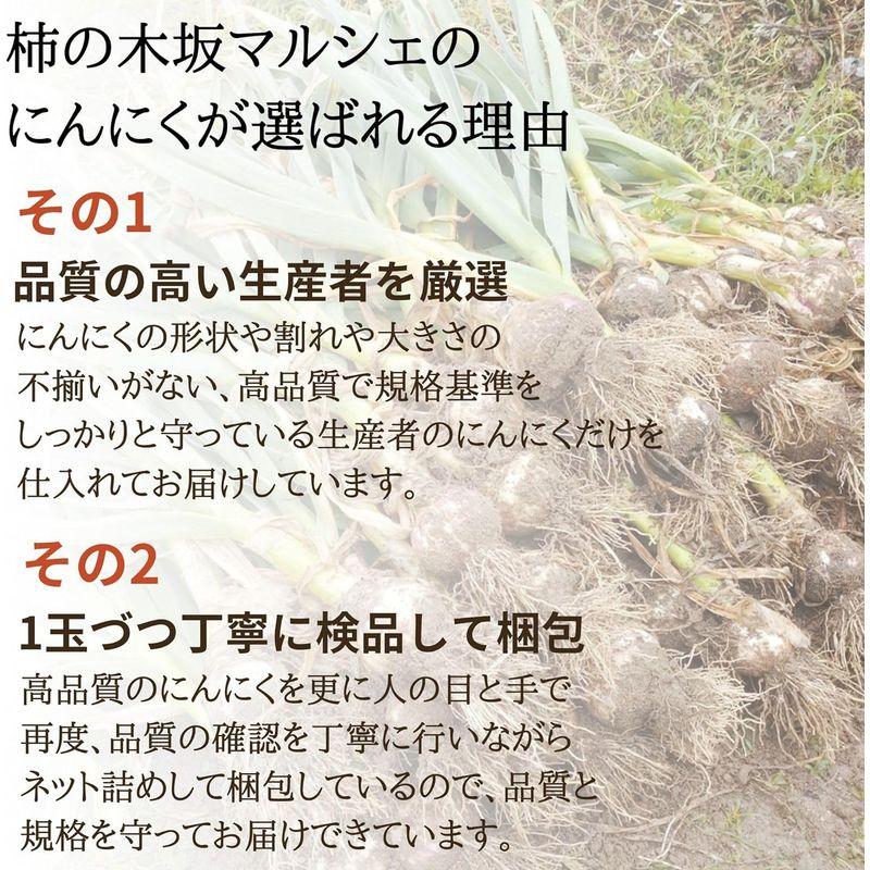 柿の木坂マルシェ にんにく 令和5年産 新物 福地ホワイト六片 青森県産 A品 得級品 Mサイズ 2kg 国産