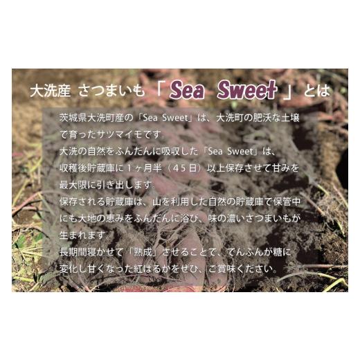 ふるさと納税 茨城県 大洗町 大洗産 さつまいも 紅はるか 5kg （15本前後） Sea Sweet 長期熟成 茨城県産 サツマイモ 土付き 生芋 芋 さつま芋 薩摩芋 甘藷 べ…