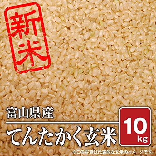 富山県産 てんたかく（令和五年産） 10kg