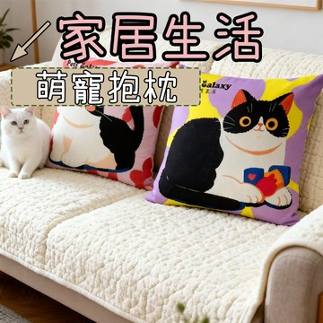 抱枕 靠枕 沙發抱枕 靠背枕頭 枕頭 沙發靠枕 貓咪抱枕 獨立枕心 禮物 萌寵抱枕 厚實耐磨 拆洗方便