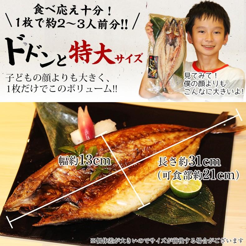 干物 無添加 特大 さば開き 魚 笹の葉干物 サバ