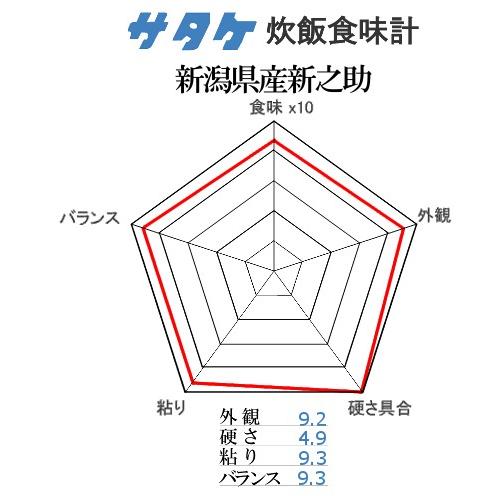 新米 新潟県産 新之助 10kg(5kg×2)  送料無料 白米 ギフト 令和5年産 内祝い  のし承ります 新潟新之助 お米 新之助