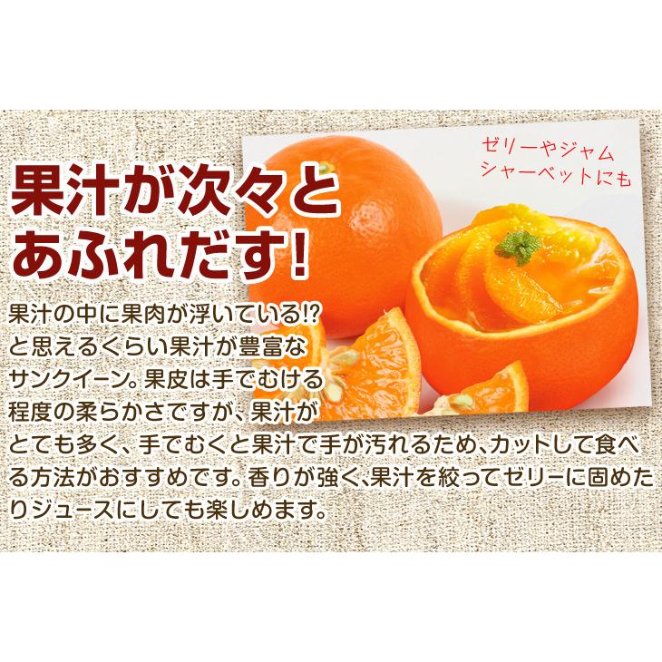 みかん 10kg サンクイーン 大分産 送料無料 食品