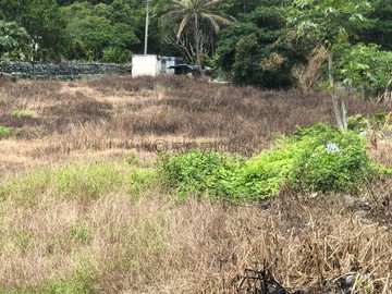 花蓮東海岸台11線上觀海日出稀有建地5E1112｜花蓮縣豐濱鄉浴海段