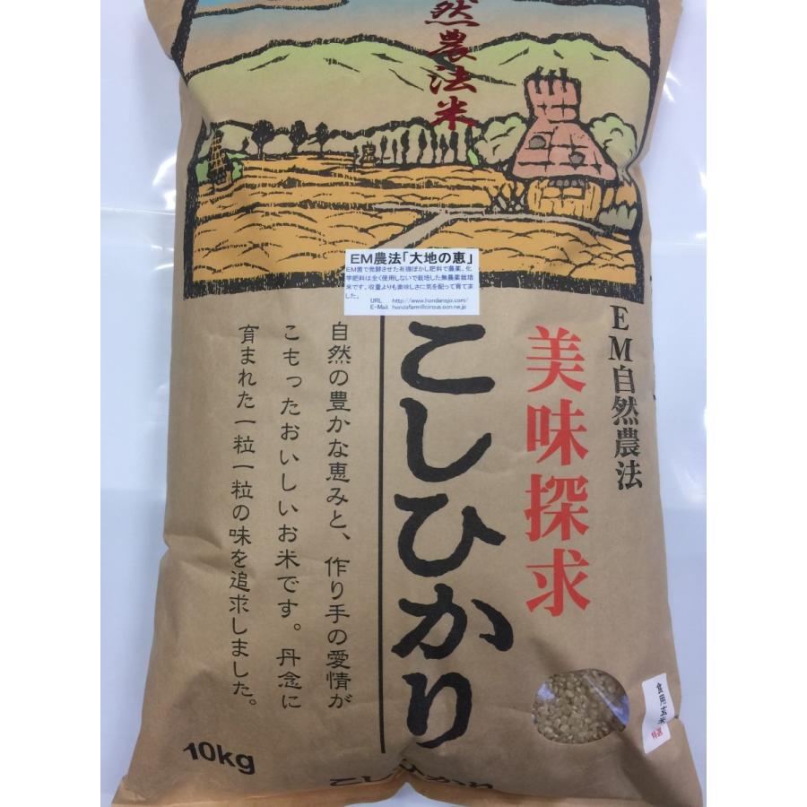 令和5年産 新米 無農薬栽培米 こしひかり 玄米 10kg お米  自然農法  「大地の恵」